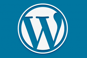 Livro da WSI ensina estratégias de marketing digital